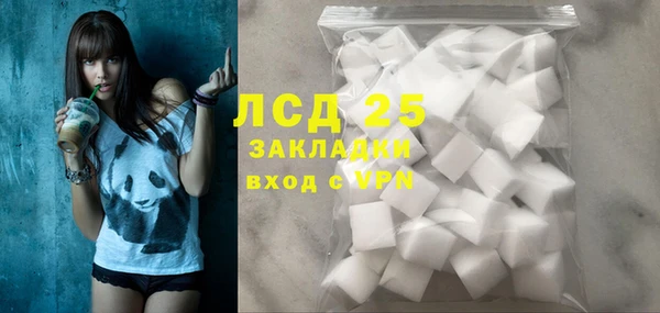 соль ск Кукмор