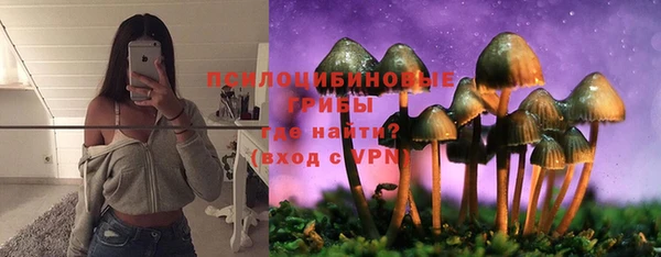 соль ск Кукмор