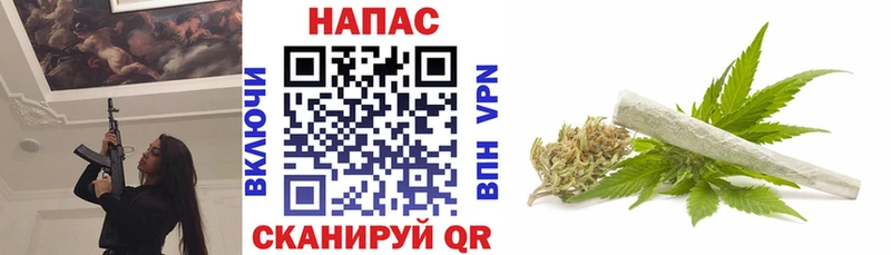 Марихуана SATIVA & INDICA  гидра сайт  Лодейное Поле 